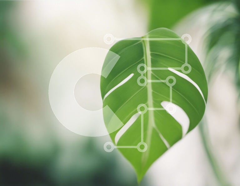 Intra Συλλεκτικό Ξύλινο Παζλ Plywood  4mm - Πράσινο φύλλο που κρέμεται από φυτά Σε Ξύλινο Κουτί - Διαστάσεις: 10x10 cm – 25 κομμάτια