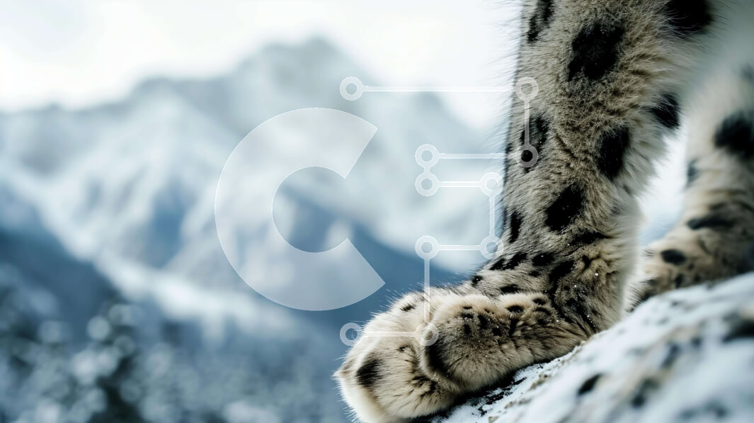 Σετ των 2 Intra Συλλεκτικό Ξύλινο Παζλ Plywood  4mm - Πόδια λεοπάρδαλης χιονιού στο ορεινό τοπίο Σε Ξύλινο Κουτί - Διαστάσεις: 10x10 cm – 25 κομμάτια