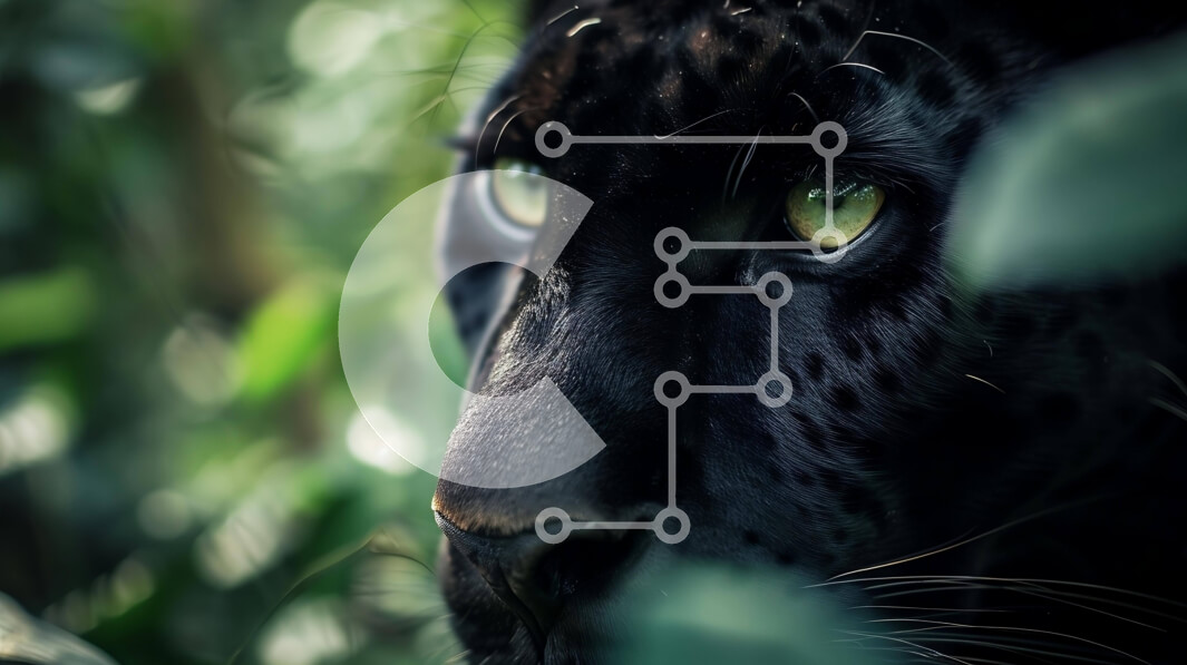 Σετ των 2 Intra Συλλεκτικό Ξύλινο Παζλ Plywood  4mm - Κοντινή εικόνα ενός μαύρου τζάγκουαρ με πράσινα μάτια στο δάσος Σε Ξύλινο Κουτί - Διαστάσεις: 10x10 cm – 25 κομμάτια