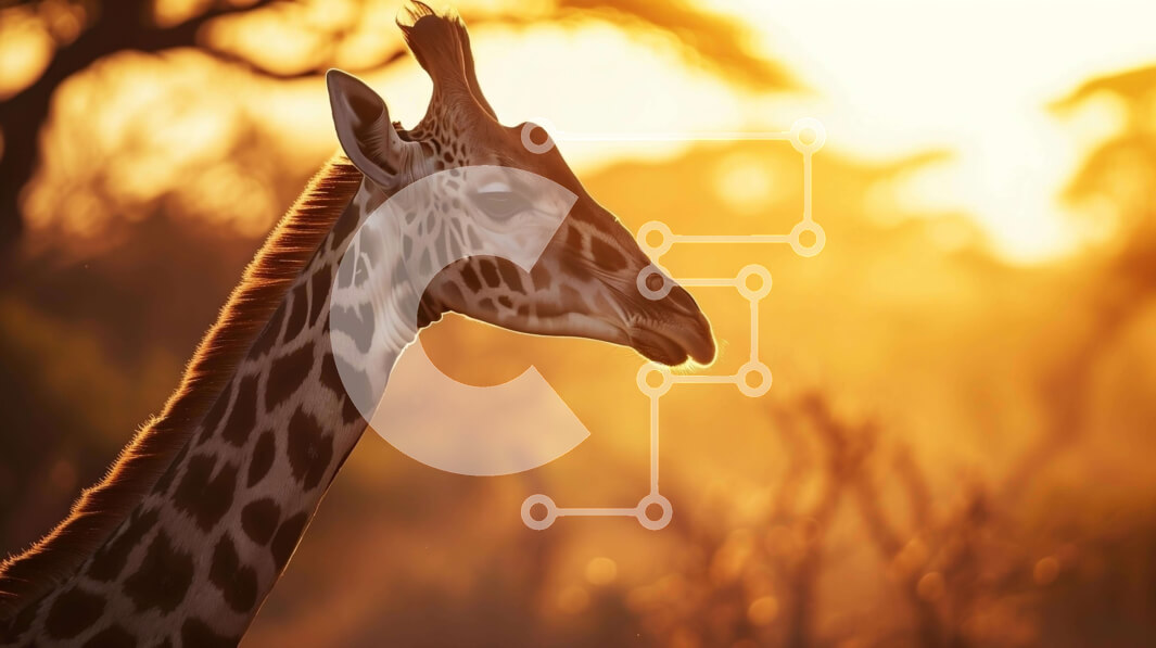 Intra Συλλεκτικό Ξύλινο Παζλ Plywood  4mm - Καμηλοπάρδαλη που στέκεται σε ένα φυσικό βιότοπο Σε Ξύλινο Κουτί - Διαστάσεις: 10x10 cm – 25 κομμάτια