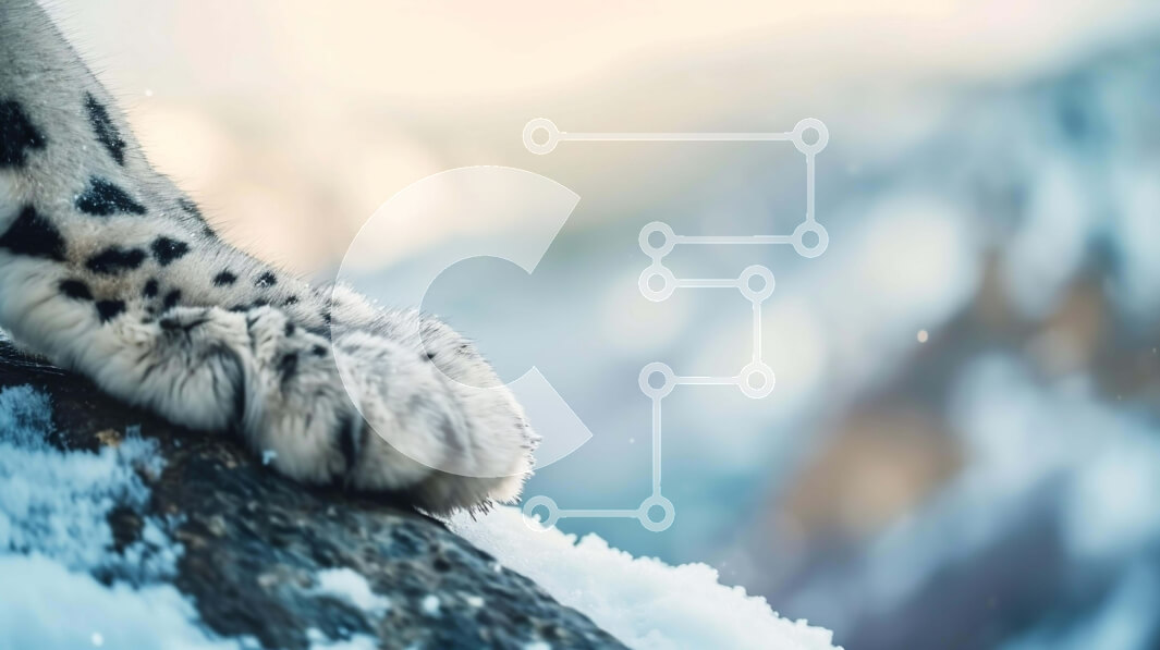 Σετ των 2 Intra Συλλεκτικό Ξύλινο Παζλ Plywood  4mm - Το πόδι της λεοπάρδαλης πάνω από έναν βράχο στο χιόνι Σε Ξύλινο Κουτί - Διαστάσεις: 10x10 cm – 25 κομμάτια