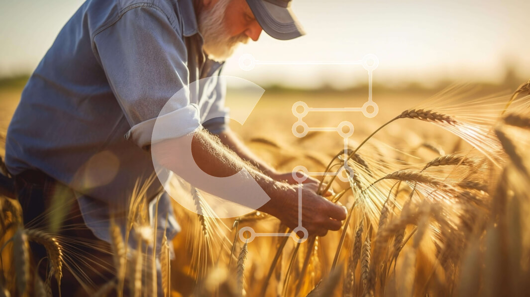 Intra Συλλεκτικό Ξύλινο Παζλ Plywood  4mm - Ηλικιωμένος άνδρας που επιθεωρεί το σιτάρι σε ένα χωράφι Σε Ξύλινο Κουτί - Διαστάσεις: 10x10 cm – 25 κομμάτια