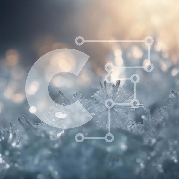 Intra Συλλεκτικό Ξύλινο Παζλ Plywood  4mm - Κοντινό πλάνο αιωρούμενων νιφάδων χιονιού στο φως του ήλιου Σε Ξύλινο Κουτί - Διαστάσεις: 10x10 cm – 25 κομμάτια