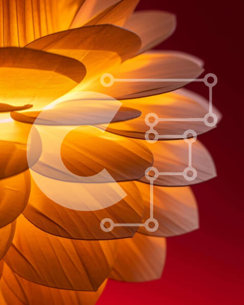 Intra Συλλεκτικό Ξύλινο Παζλ Plywood  4mm - Κοντινό πλάνο του πορτοκαλί λουλουδιού σε κόκκινο φόντο Σε Ξύλινο Κουτί - Διαστάσεις: 10x10 cm – 25 κομμάτια