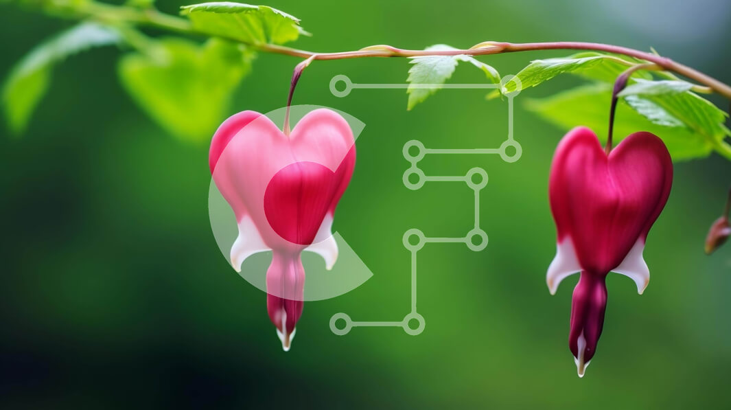 Intra Συλλεκτικό Ξύλινο Παζλ Plywood  4mm - Κόκκινα λουλούδια σε σχήμα καρδιάς που κρέμονται από ένα κλαδί με πράσινα φύλλα Σε Ξύλινο Κουτί - Διαστάσεις: 10x10 cm – 25 κομμάτια