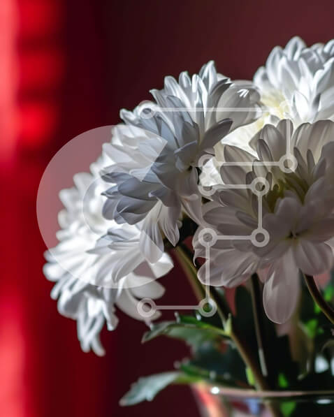 Σετ των 2 Intra Συλλεκτικό Ξύλινο Παζλ Plywood  4mm - Φρέσκα λευκά λουλούδια σε γυάλινο βάζο σε φόντο κόκκινη κουρτίνα Σε Ξύλινο Κουτί - Διαστάσεις: 10x10 cm – 25 κομμάτια