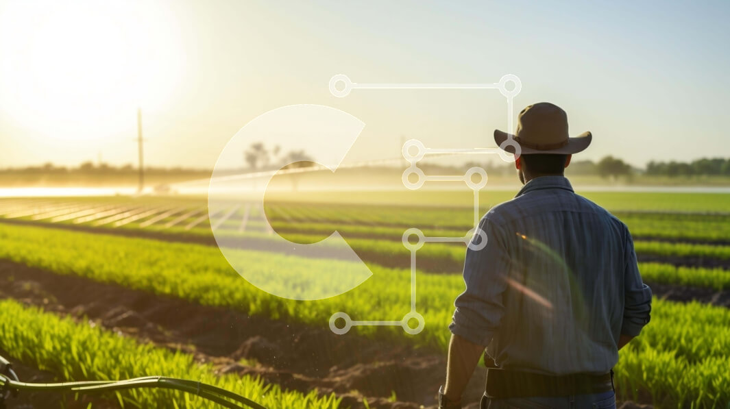 Intra Συλλεκτικό Ξύλινο Παζλ Plywood  4mm - Άνθρωπος που ψεκάζει νερό στο γεωργικό χωράφι Σε Ξύλινο Κουτί - Διαστάσεις: 10x10 cm – 25 κομμάτια