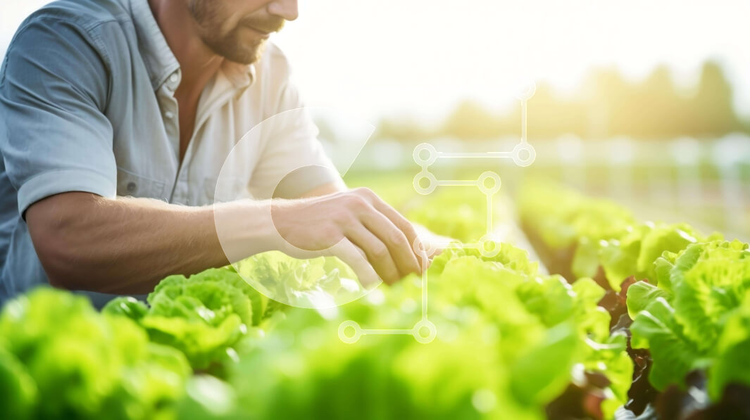 Intra Συλλεκτικό Ξύλινο Παζλ Plywood  4mm - Άνδρας που μαζεύει μαρούλι στην εξοχή Σε Ξύλινο Κουτί - Διαστάσεις: 10x10 cm – 25 κομμάτια