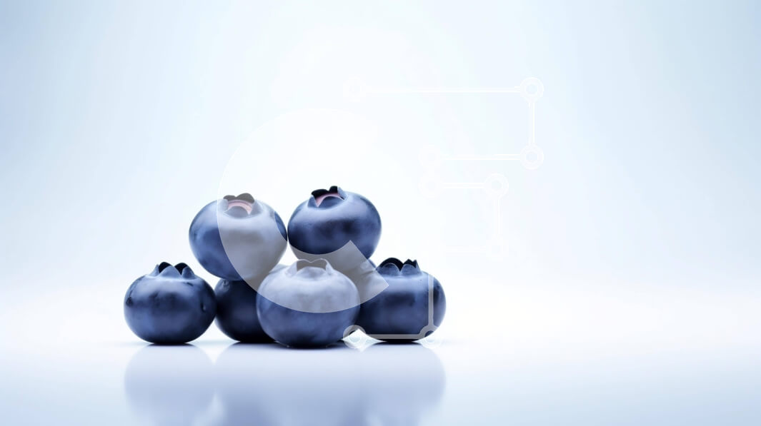 Σετ των 2 Intra Συλλεκτικό Ξύλινο Παζλ Plywood  4mm - Στοιβαγμένα φρέσκα βακκίνια Σε Ξύλινο Κουτί - Διαστάσεις: 10x10 cm – 25 κομμάτια