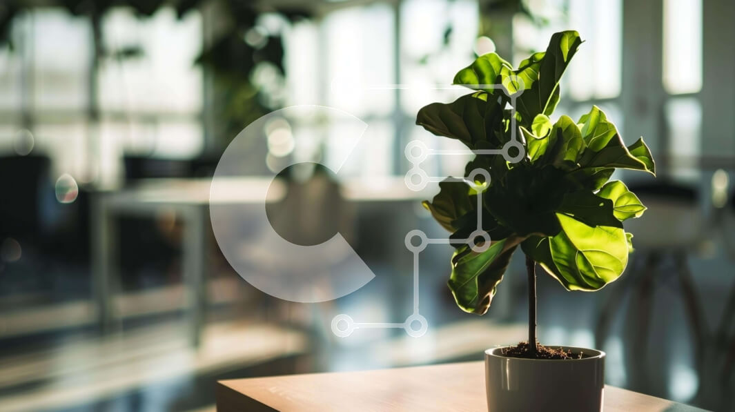 Intra Συλλεκτικό Ξύλινο Παζλ Plywood  4mm - Εσωτερικό φυτό σε φωτεινό χώρο εργασίας Σε Ξύλινο Κουτί - Διαστάσεις: 10x10 cm – 25 κομμάτια