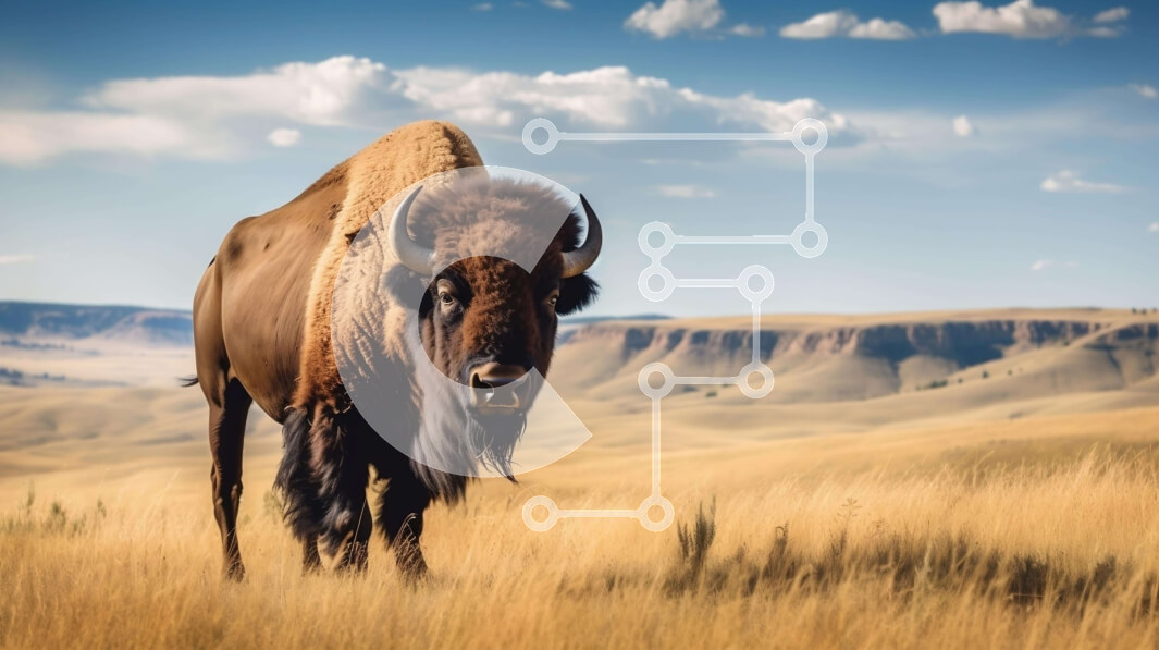 Intra Συλλεκτικό Ξύλινο Παζλ Plywood  4mm - Καφέ βίσονας σε ανοιχτό γρασίδι με λόφους και βουνά Σε Ξύλινο Κουτί - Διαστάσεις: 10x10 cm – 25 κομμάτια