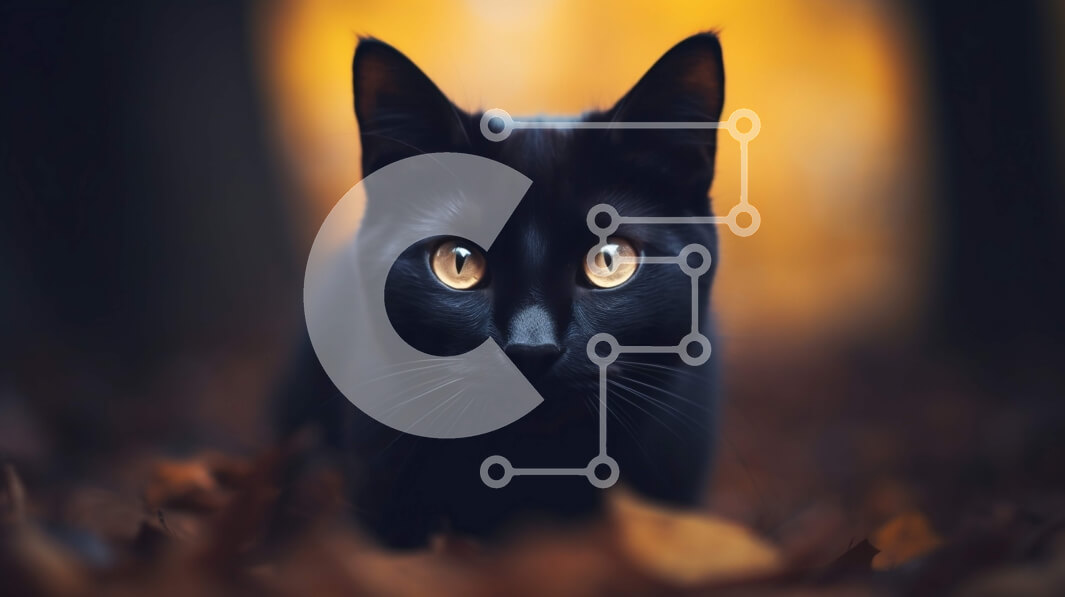 Σετ των 2 Intra Συλλεκτικό Ξύλινο Παζλ Plywood  4mm - Μαύρη γάτα που στέκεται στα φθινοπωρινά φύλλα Σε Ξύλινο Κουτί - Διαστάσεις: 10x10 cm – 25 κομμάτια