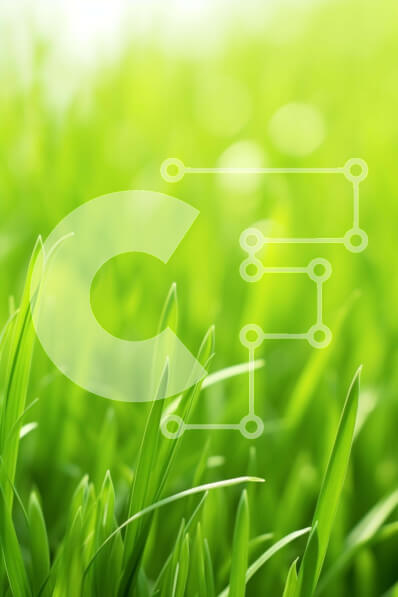 Σετ των 2 Intra Συλλεκτικό Ξύλινο Παζλ Plywood  4mm - Πλούσιο πράσινο γρασίδι κινηματογράφηση σε πρώτο πλάνο στο Λυκόφως Σε Ξύλινο Κουτί - Διαστάσεις: 10x10 cm – 25 κομμάτια