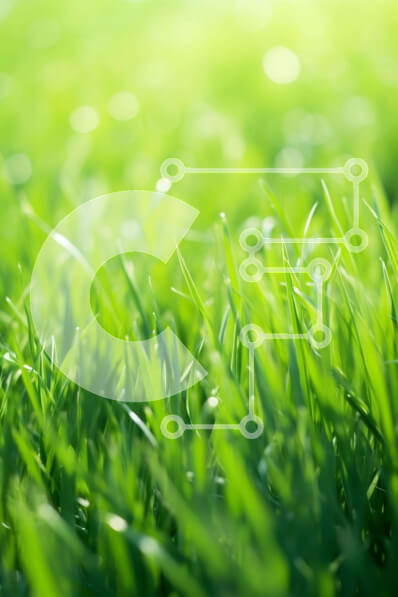 Σετ των 2 Intra Συλλεκτικό Ξύλινο Παζλ Plywood  4mm - Κοντινό πλάνο της πλούσιας πράσινης χλόης με την αντανάκλαση του ηλιακού φωτός Σε Ξύλινο Κουτί - Διαστάσεις: 10x10 cm – 25 κομμάτια