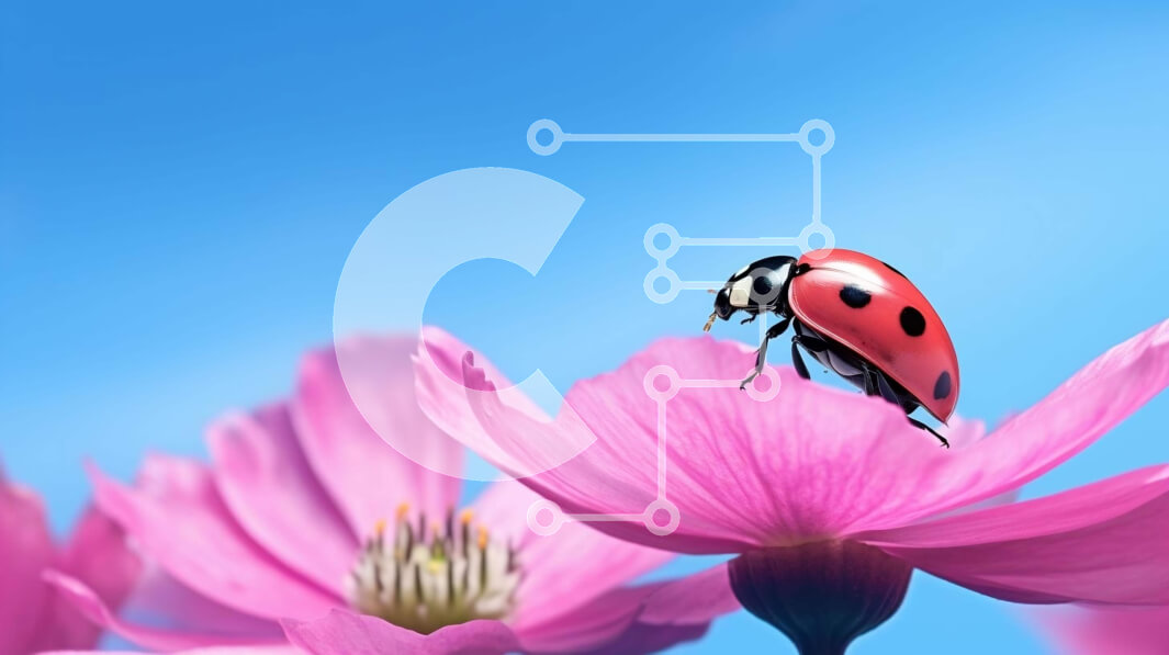 Intra Συλλεκτικό Ξύλινο Παζλ Plywood  4mm - Πασχαλίτσα σε ροζ λουλούδια σε μπλε φόντο Σε Ξύλινο Κουτί - Διαστάσεις: 10x10 cm – 25 κομμάτια