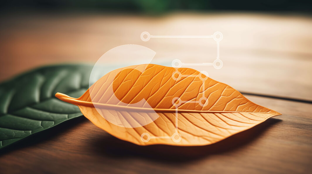 Intra Συλλεκτικό Ξύλινο Παζλ Plywood  4mm - Πορτοκαλί και πράσινο φύλλο σε ξύλινο τραπέζι Σε Ξύλινο Κουτί - Διαστάσεις: 10x10 cm – 25 κομμάτια