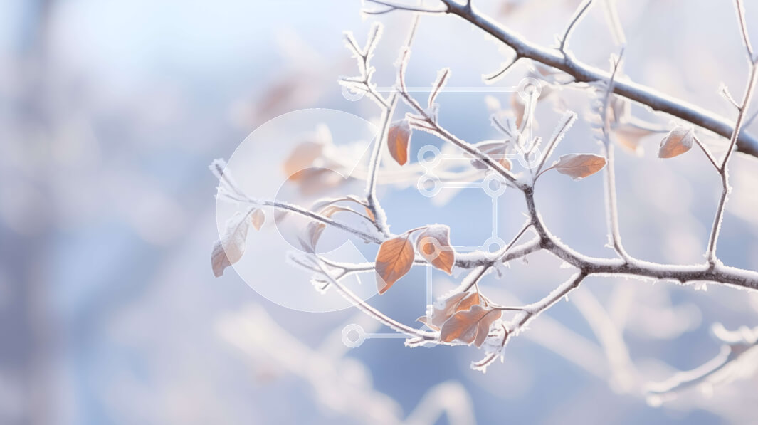 Intra Συλλεκτικό Ξύλινο Παζλ Plywood  4mm - Παγωμένο κλαδί δέντρου με νιφάδες χιονιού Σε Ξύλινο Κουτί - Διαστάσεις: 10x10 cm – 25 κομμάτια