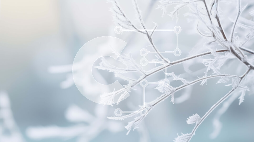 Intra Συλλεκτικό Ξύλινο Παζλ Plywood  4mm - Παγωμένο κλαδί δέντρου με θολό φόντο Σε Ξύλινο Κουτί - Διαστάσεις: 10x10 cm – 25 κομμάτια