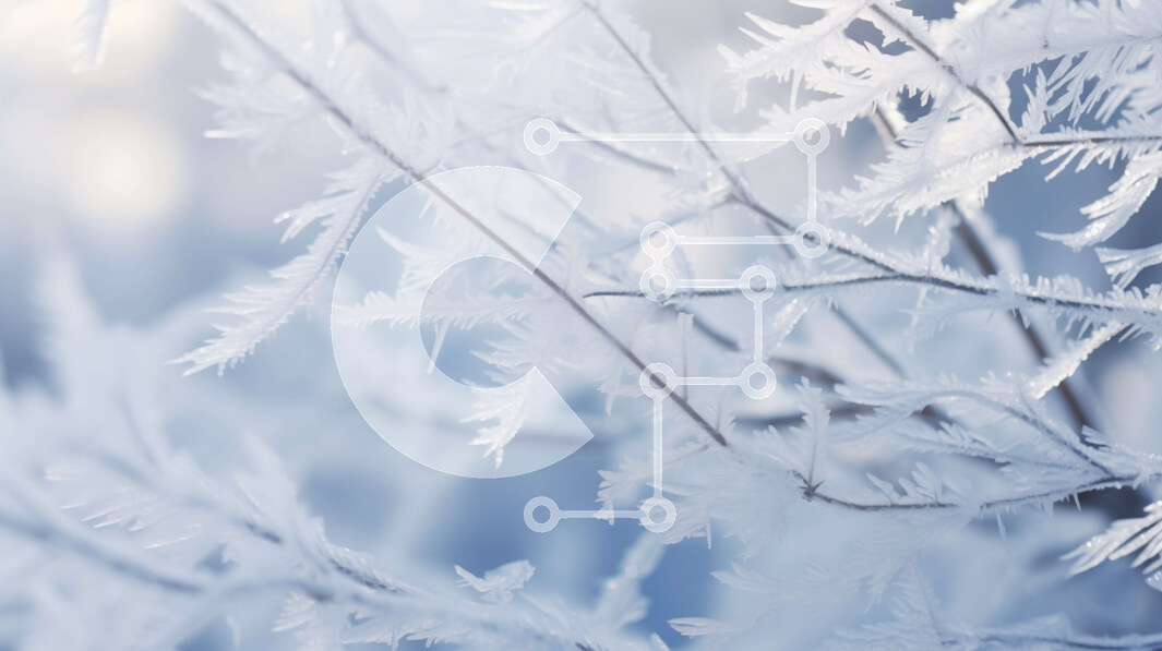 Intra Συλλεκτικό Ξύλινο Παζλ Plywood  4mm - Παγωμένο κλαδί δέντρου καλυμμένο με χιόνι και παγάκια Σε Ξύλινο Κουτί - Διαστάσεις: 10x10 cm – 25 κομμάτια