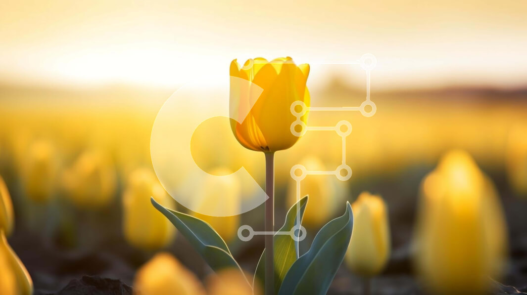 Intra Συλλεκτικό Ξύλινο Παζλ Plywood  4mm - Μονή κίτρινη τουλίπα σε ένα χωράφι με ανοιξιάτικα λουλούδια Σε Ξύλινο Κουτί - Διαστάσεις: 10x10 cm – 25 κομμάτια