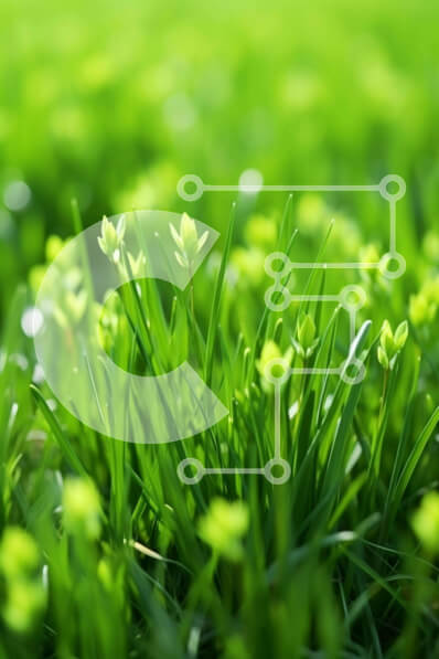 Σετ των 2 Intra Συλλεκτικό Ξύλινο Παζλ Plywood  4mm - Κοντινό πλάνο του πράσινου πεδίου με χόρτα Σε Ξύλινο Κουτί - Διαστάσεις: 10x10 cm – 25 κομμάτια