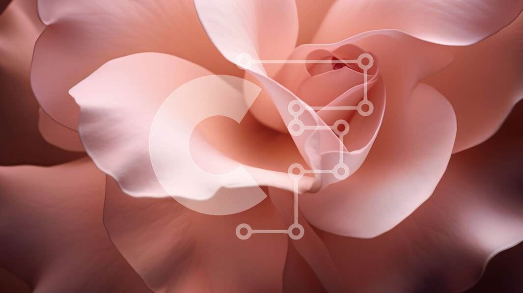 Intra Συλλεκτικό Ξύλινο Παζλ Plywood  4mm - Κοντινό πλάνο ενός ελκυστικού ροζ τριαντάφυλλου Σε Ξύλινο Κουτί - Διαστάσεις: 10x10 cm – 25 κομμάτια