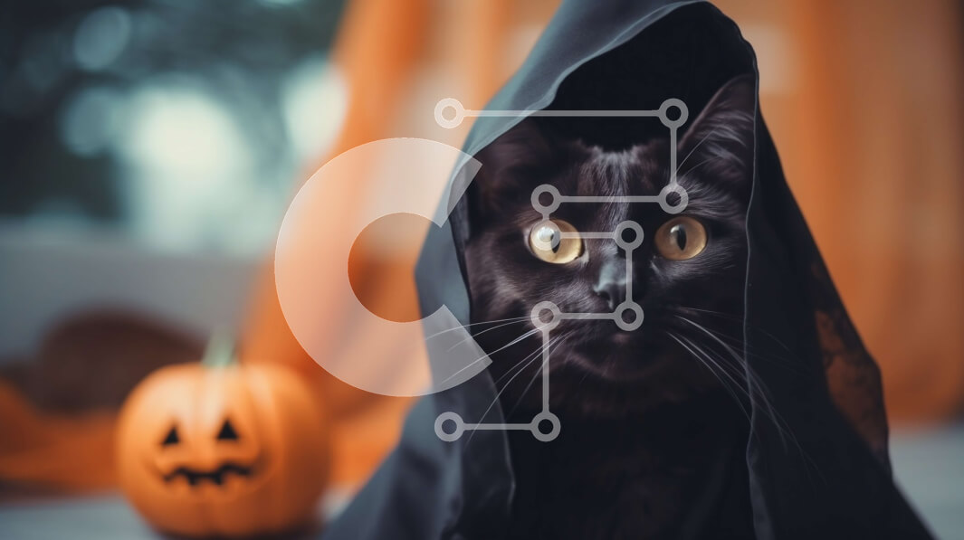 Intra Συλλεκτικό Ξύλινο Παζλ Plywood  4mm - Μαύρη γάτα με πορτοκαλί κουκούλα και κολοκύθα Σε Ξύλινο Κουτί - Διαστάσεις: 10x10 cm – 25 κομμάτια