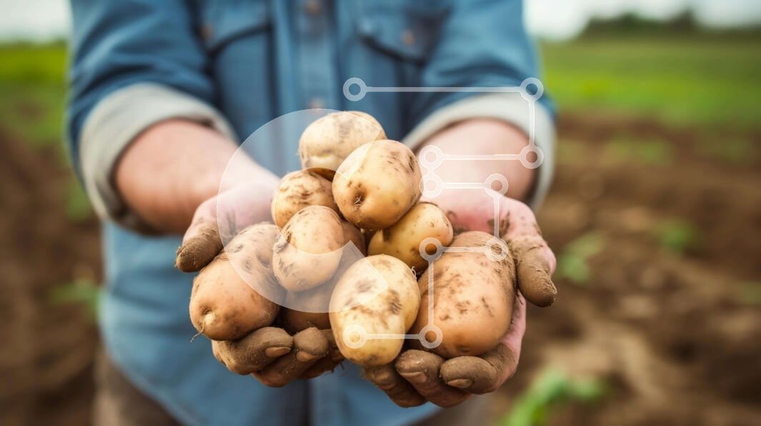 Intra Συλλεκτικό Ξύλινο Παζλ Plywood  4mm - Άτομο που κρατά ένα μάτσο πατάτες σε ένα χωράφι Σε Ξύλινο Κουτί - Διαστάσεις Puzzle: 10x10 cm – 25 κομμάτια