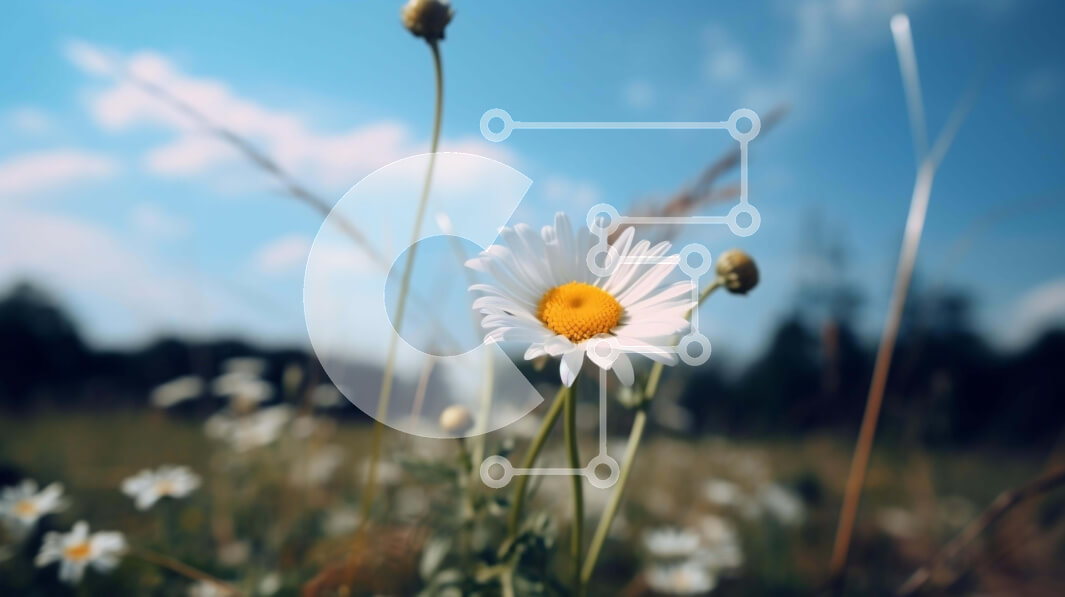 Intra Συλλεκτικό Ξύλινο Παζλ Plywood  4mm - Single White Daisy στο Ανοιχτό Λιβάδι Σε Ξύλινο Κουτί - Διαστάσεις: 10x10 cm – 25 κομμάτια