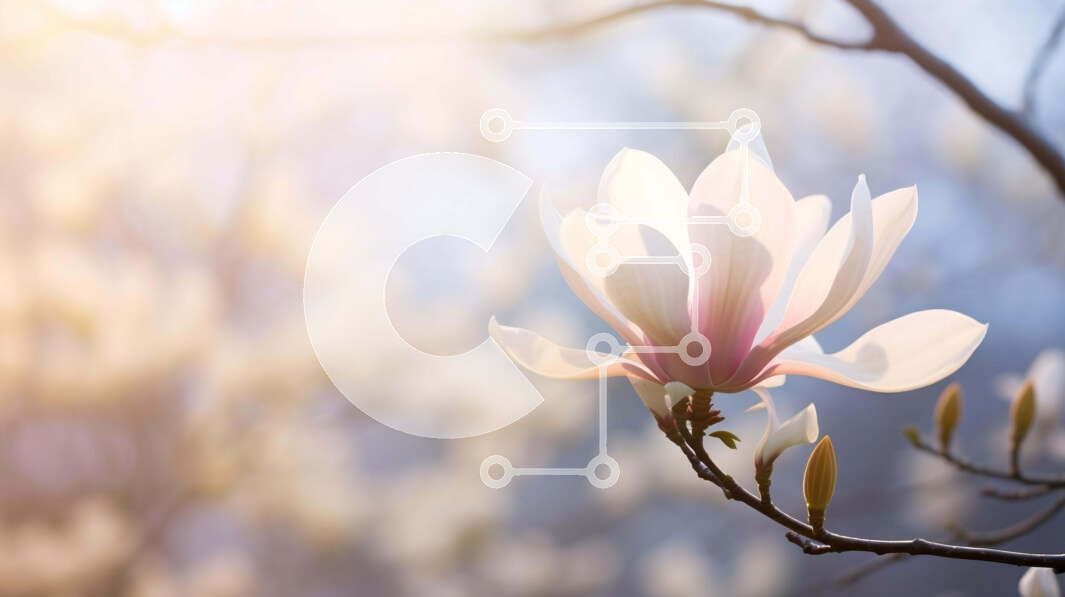 Intra Συλλεκτικό Ξύλινο Παζλ Plywood  4mm - Ανθισμένο λευκό λουλούδι μανόλιας σε κλαδί βελανιδιάς Σε Ξύλινο Κουτί - Διαστάσεις: 10x10 cm – 25 κομμάτια