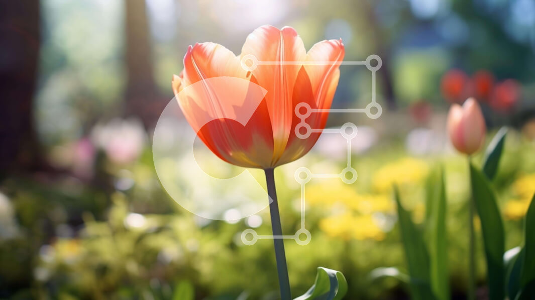 Intra Συλλεκτικό Ξύλινο Παζλ Plywood  4mm - Ανθισμένη πορτοκαλί τουλίπα σε ένα χωράφι με λουλούδια Σε Ξύλινο Κουτί - Διαστάσεις: 10x10 cm – 25 κομμάτια