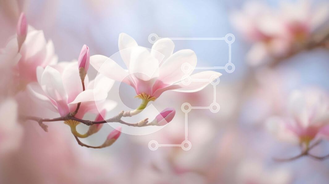 Intra Συλλεκτικό Ξύλινο Παζλ Plywood  4mm - Ανθισμένα λουλούδια Magnolia σε ροζ και λευκό Σε Ξύλινο Κουτί - Διαστάσεις: 10x10 cm – 25 κομμάτια