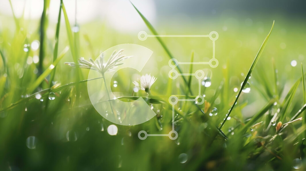 Intra Συλλεκτικό Ξύλινο Παζλ Plywood  4mm - Πράσινο πεδίο με σταγονίδια νερού και λευκά λουλούδια Σε Ξύλινο Κουτί - Διαστάσεις: 10x10 cm – 25 κομμάτια