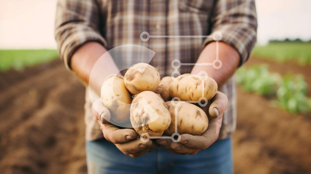 Intra Συλλεκτικό Ξύλινο Παζλ Plywood  4mm - Άνθρωπος που συγκομίζει πατάτες από το χωράφι Σε Ξύλινο Κουτί - Διαστάσεις Puzzle: 10x10 cm – 25 κομμάτια