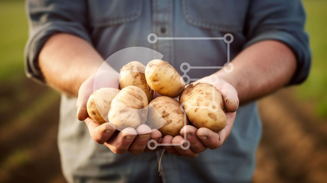 Intra Συλλεκτικό Ξύλινο Παζλ Plywood  4mm - Άνθρωπος που συγκομίζει πατάτες από το χωράφι Σε Ξύλινο Κουτί - Διαστάσεις Puzzle: 10x10 cm – 25 κομμάτια