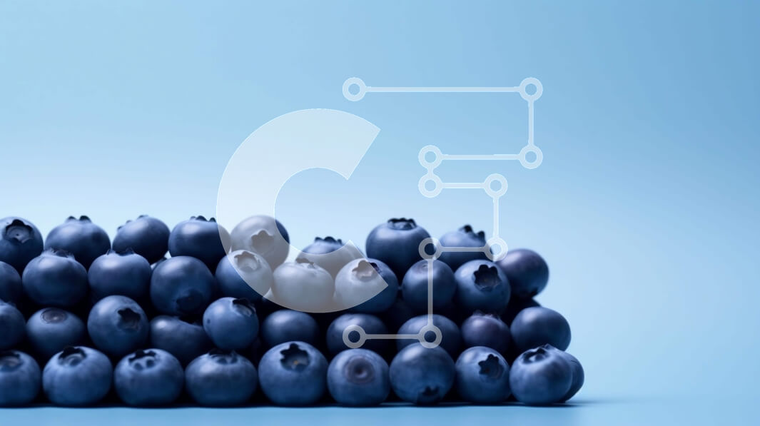 Σετ των 2 Intra Συλλεκτικό Ξύλινο Παζλ Plywood  4mm - Φρέσκος σωρός από βατόμουρα Σε Ξύλινο Κουτί - Διαστάσεις: 10x10 cm – 25 κομμάτια