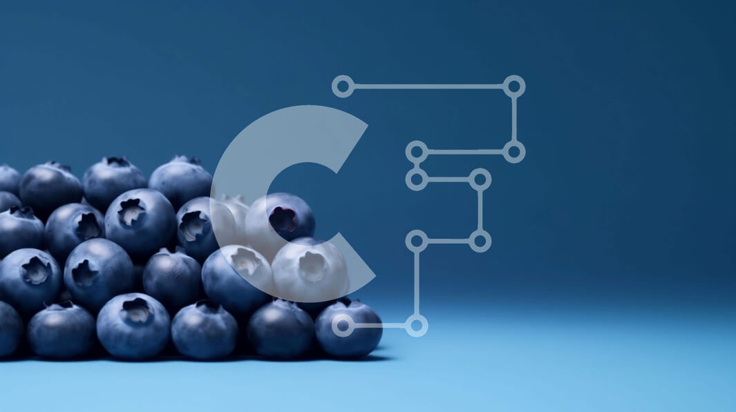 Σετ των 2 Intra Συλλεκτικό Ξύλινο Παζλ Plywood  4mm - Σωρός από βατόμουρα Σε Ξύλινο Κουτί - Διαστάσεις: 10x10 cm – 25 κομμάτια