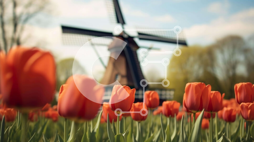 Intra Συλλεκτικό Ξύλινο Παζλ Plywood  4mm - Πεδίο με πορτοκαλί τουλίπες και ανεμόμυλο την άνοιξη Σε Ξύλινο Κουτί - Διαστάσεις: 10x10 cm – 25 κομμάτια