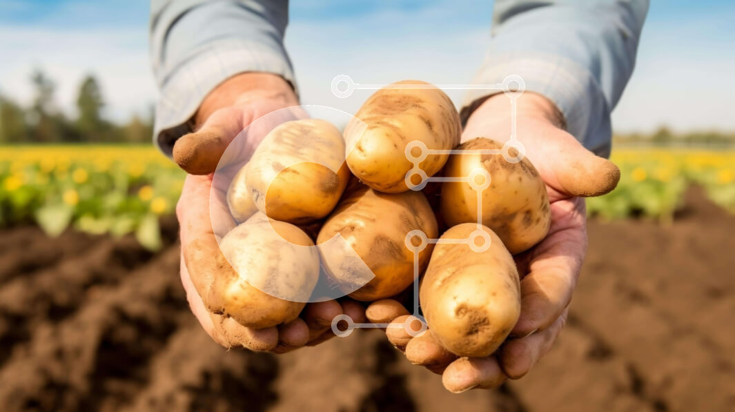 Intra Συλλεκτικό Ξύλινο Παζλ Plywood  4mm - Άνθρωπος που συγκομίζει πατάτες από το χωράφι Σε Ξύλινο Κουτί - Διαστάσεις: 10x10 cm – 25 κομμάτια