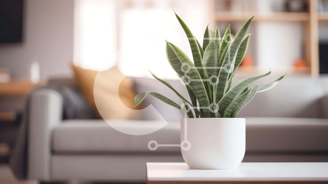 Intra Συλλεκτικό Ξύλινο Παζλ Plywood  4mm - Λευκό φυτό σε γλάστρα στο τέλος του τραπεζιού στο σαλόνι Σε Ξύλινο Κουτί - Διαστάσεις Puzzle: 10x10 cm – 25 κομμάτια