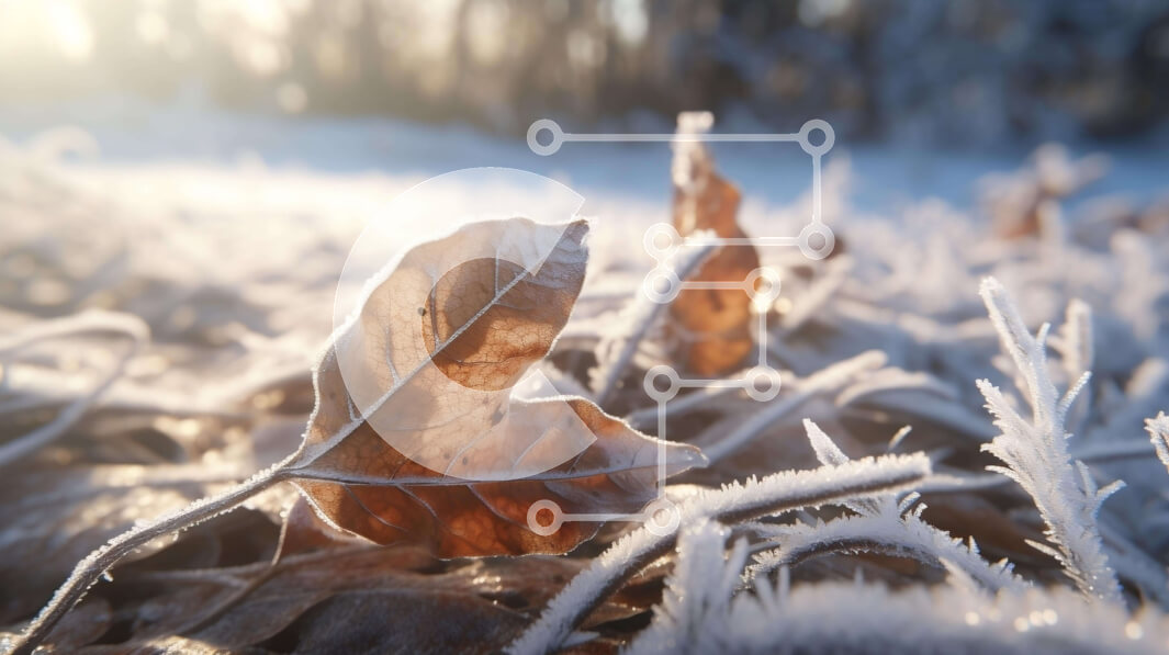 Intra Συλλεκτικό Ξύλινο Παζλ Plywood  4mm - Παγωμένο καφέ φύλλο στο έδαφος Σε Ξύλινο Κουτί - Διαστάσεις: 10x10 cm – 25 κομμάτια