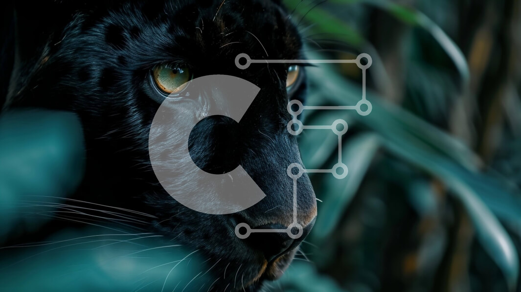 Intra Συλλεκτικό Ξύλινο Παζλ Plywood  4mm - Κοντινό πλάνο μιας μαύρης τζάγκουαρ στο δάσος Σε Ξύλινο Κουτί - Διαστάσεις: 10x10 cm – 25 κομμάτια