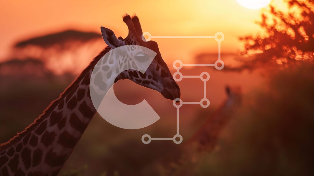 Intra Συλλεκτικό Ξύλινο Παζλ Plywood  4mm - Δύο καμηλοπαρδάλεις σε ένα χορταριασμένο χωράφι στο ηλιοβασίλεμα Σε Ξύλινο Κουτί - Διαστάσεις: 10x10 cm – 25 κομμάτια