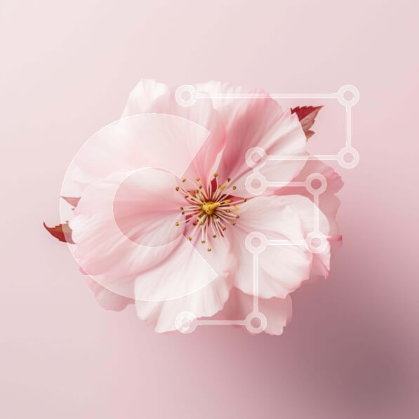 Intra Συλλεκτικό Ξύλινο Παζλ Plywood  4mm - Μονό ροζ λουλούδι σε ροζ φόντο Σε Ξύλινο Κουτί - Διαστάσεις: 10x10 cm – 25 κομμάτια