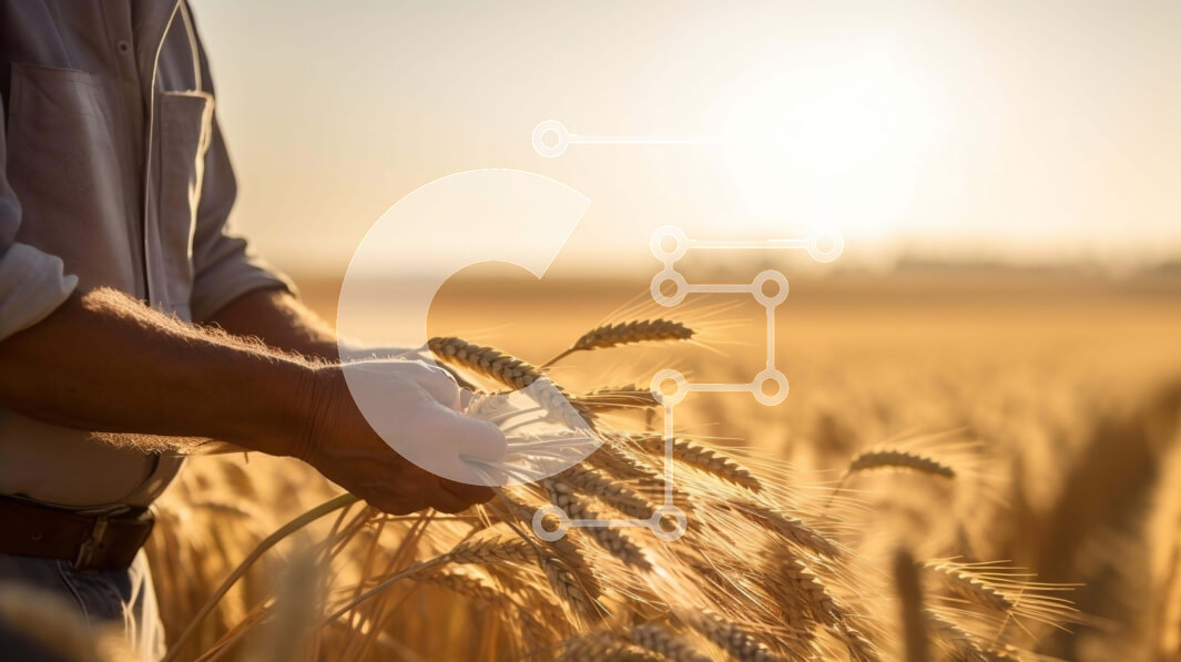 Intra Συλλεκτικό Ξύλινο Παζλ Plywood  4mm - Άτομο που κρατά το σιτάρι σε ένα ανοιχτό χωράφι Σε Ξύλινο Κουτί - Διαστάσεις: 10x10 cm – 25 κομμάτια