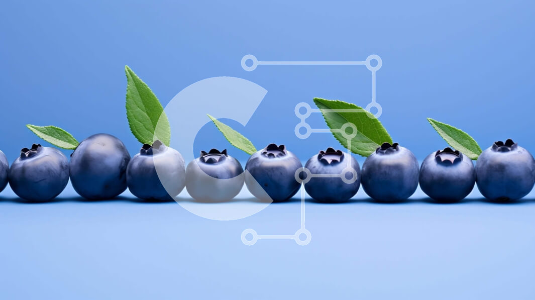 Σετ των 2 Intra Συλλεκτικό Ξύλινο Παζλ Plywood  4mm - Φρέσκα βατόμουρα σε λευκό φόντο Σε Ξύλινο Κουτί - Διαστάσεις: 10x10 cm – 25 κομμάτια