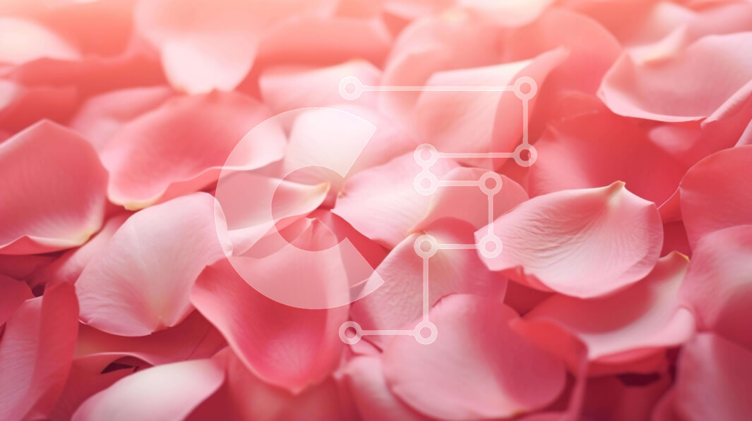 Intra Συλλεκτικό Ξύλινο Παζλ Plywood  4mm - Μεγάλο σωρό από ροζ πέταλα για μπουκέτα και διακοσμητικά Σε Ξύλινο Κουτί - Διαστάσεις: 10x10 cm – 25 κομμάτια