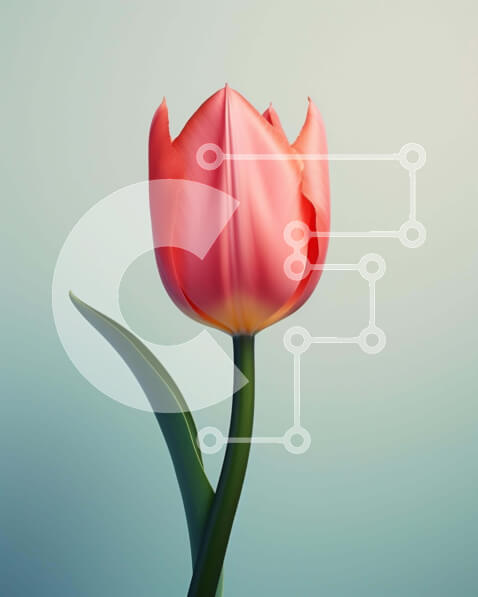 Intra Συλλεκτικό Ξύλινο Παζλ Plywood  4mm - Ρεαλιστικό ενιαίο ροζ λουλούδι τουλίπας Σε Ξύλινο Κουτί - Διαστάσεις: 10x10 cm – 25 κομμάτια