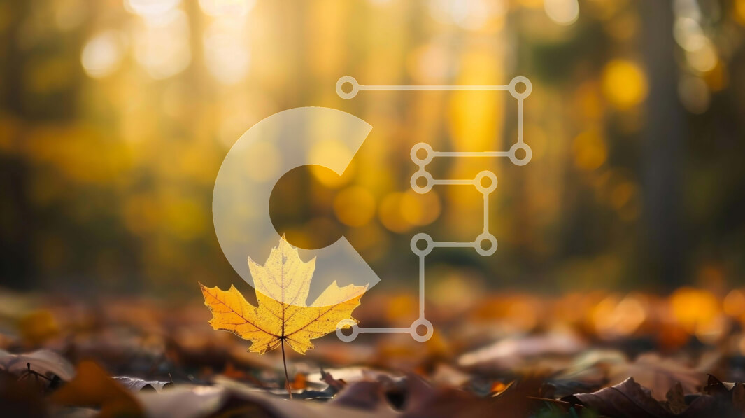 Intra Συλλεκτικό Ξύλινο Παζλ Plywood  4mm - Κίτρινο φύλλο σφενδάμου στο δάσος Σε Ξύλινο Κουτί - Διαστάσεις: 10x10 cm – 25 κομμάτια