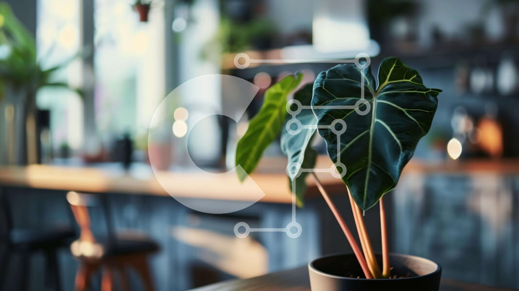 Intra Συλλεκτικό Ξύλινο Παζλ Plywood  4mm - Φυτό σε γλάστρα σε ξύλινο τραπέζι κουζίνας Σε Ξύλινο Κουτί - Διαστάσεις Puzzle: 10x10 cm – 25 κομμάτια